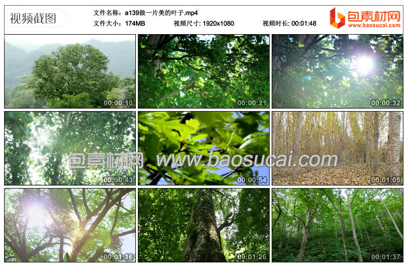 1620578604939990.jpg a139做一片美的叶子.mp4_thumbs_2021.05.09.10_11_48.jpg