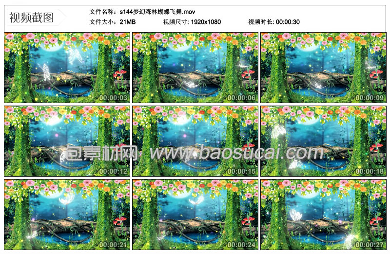s144梦幻森林蝴蝶飞舞.jpg