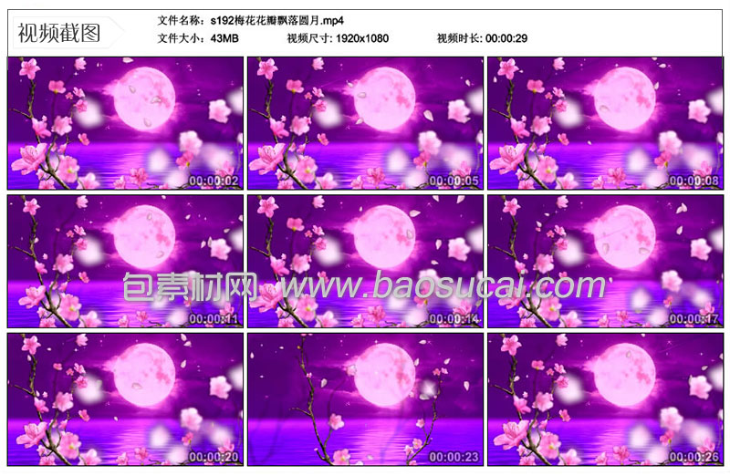 1586323644601065.jpg s192梅花花瓣飘落圆月.jpg