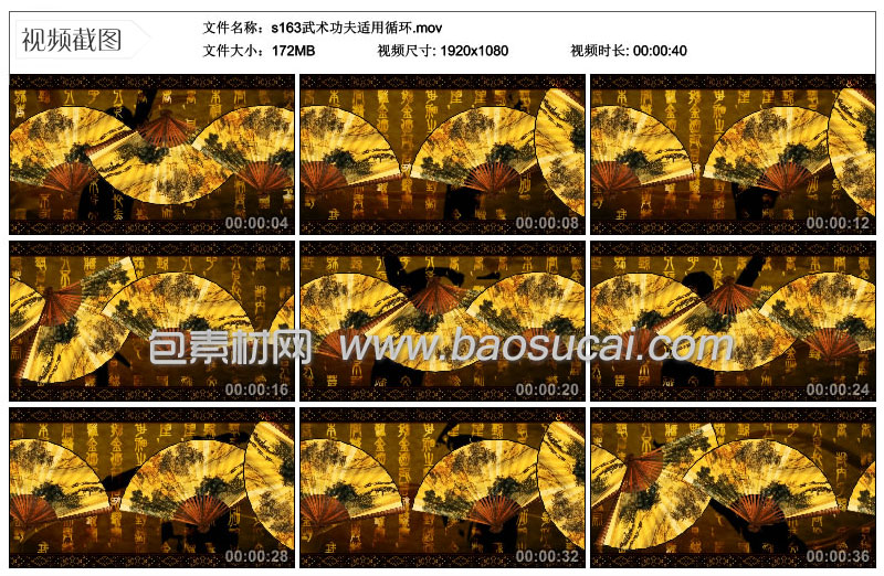 1586832233340907.jpg s163武术功夫适用循环.jpg