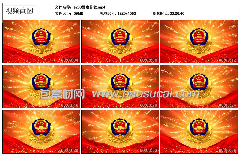 1587129179139879.jpg s203警察警徽.jpg