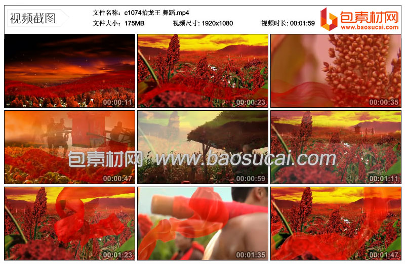 c1074抬龙王-舞蹈.12_31_29.jpg