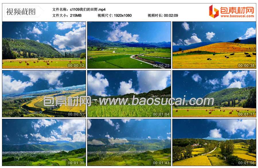 1628213667594309.jpg c1109我们的田野.mp4_thumbs_2021.08.05.23_48_41.jpg