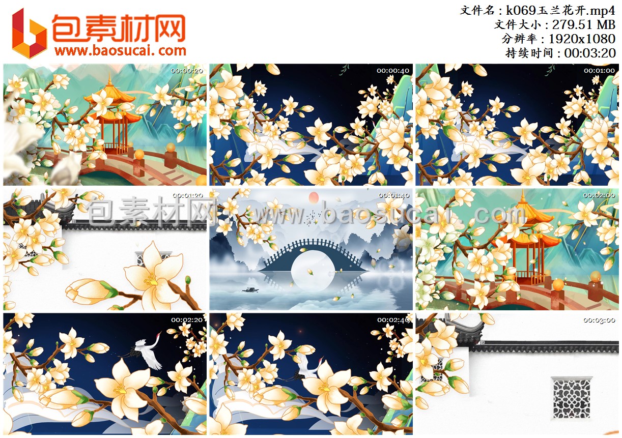 1654493619857188.jpg k069玉兰花开.mp4.jpg