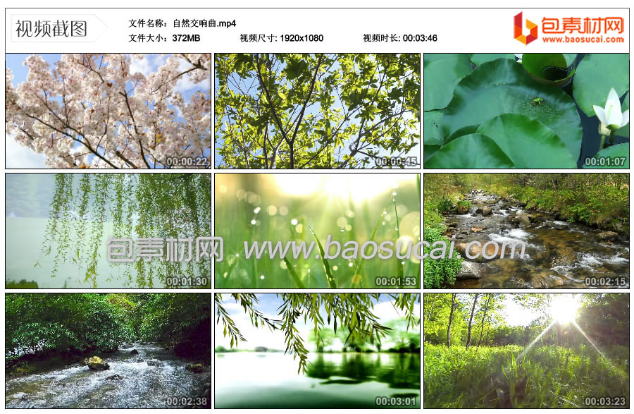 1660479482207253.jpg c1254自然交响曲.mp4_thumbs_2022.08.14.18_42_26.jpg