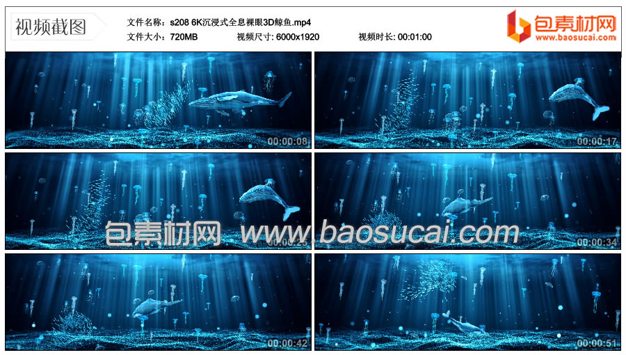s208-6K沉浸式全息裸眼3D鲸鱼.mp4_thumbs_2022.08.18.10_53_52.jpg