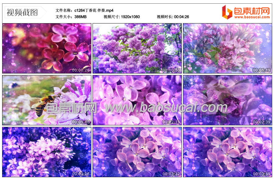 c1264丁香花-伴奏.mp4_thumbs_2022.09.14.21_48_36.jpg