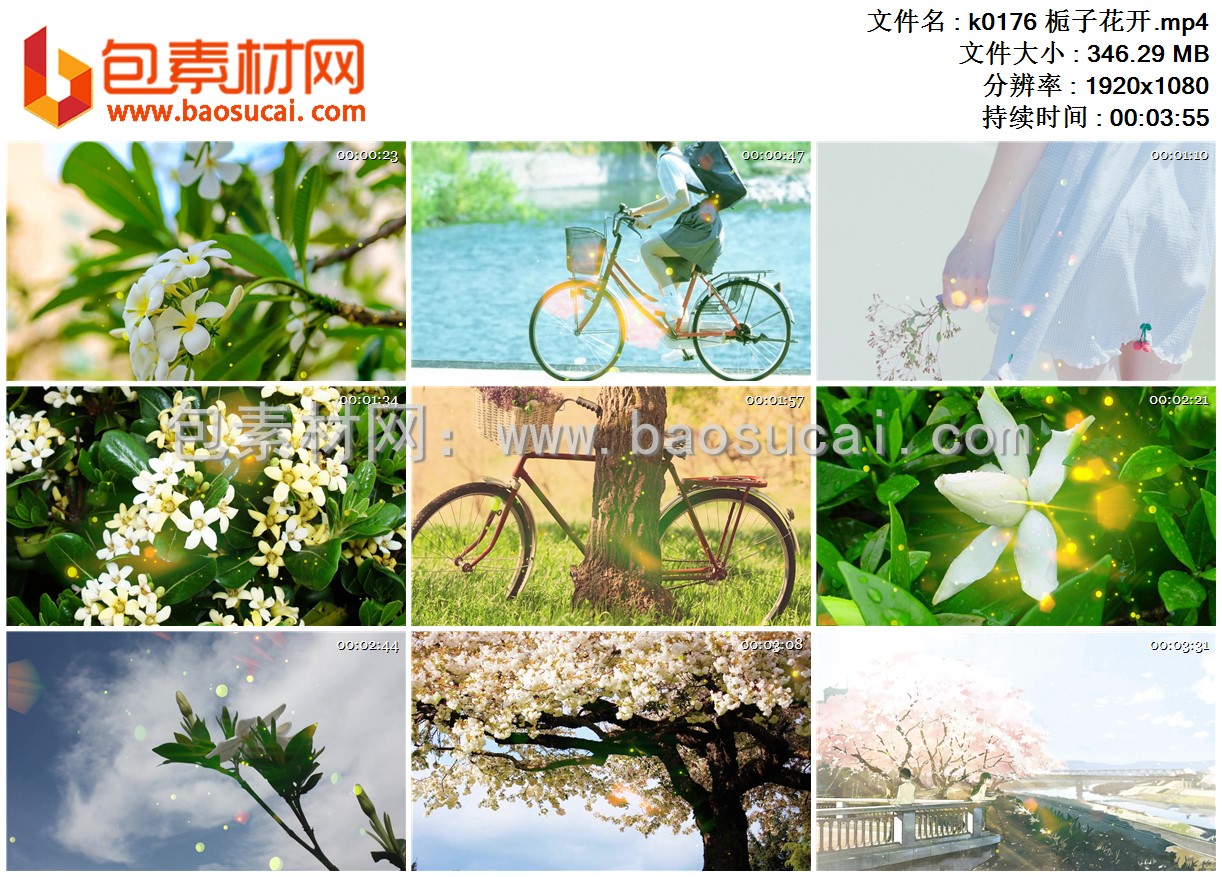 k0176 栀子花开.mp4.jpg