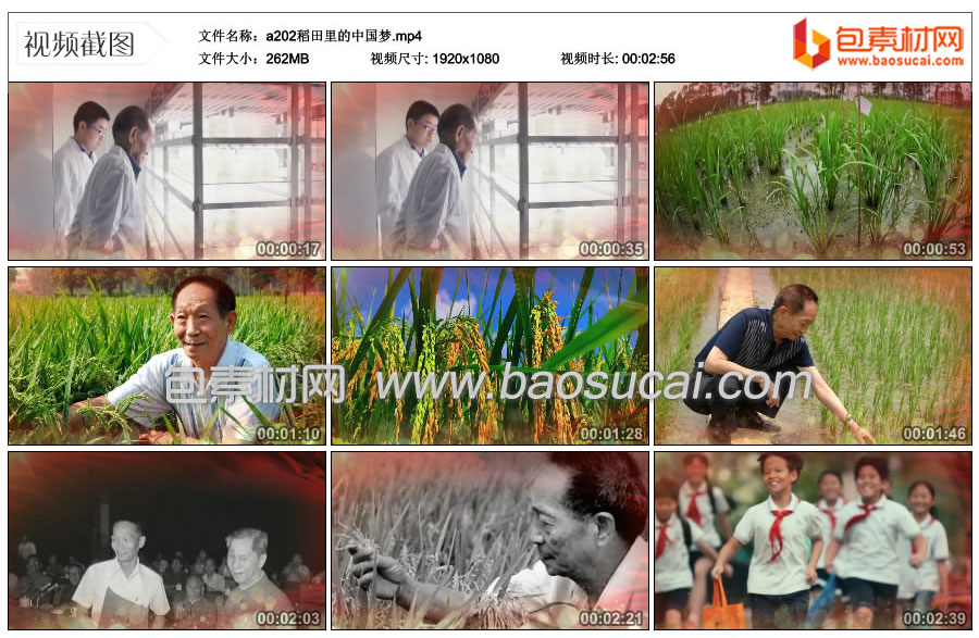 1683694187980977.jpg a202稻田里的中国梦.mp4_thumbs_2023.05.06.13_48_40.jpg