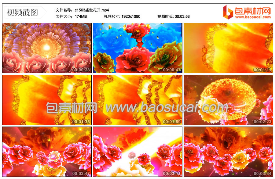 1704639272451401.jpg c1563盛世花开.mp4_thumbs_2024.01.03.11_36_01.jpg