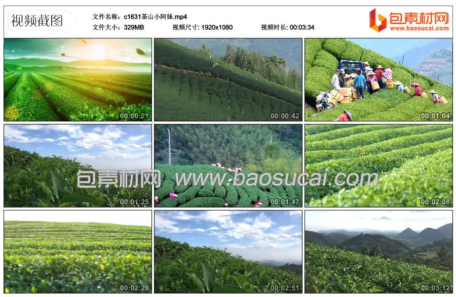 1718556003720506.jpg c1631茶山小阿妹.mp4_thumbs_2024.04.30.10_53_59.jpg