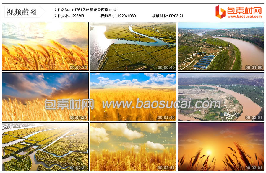 1746594214791401.jpg c1761风吹稻花香两岸.mp4_thumbs_2025.02.05.15_54_20.jpg