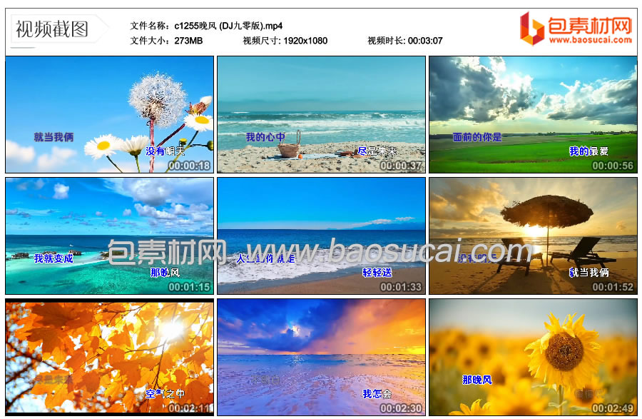 1770009303764685.jpg c1255晚风-(DJ九零版).mp4_thumbs_2026.01.10.14_05_00.jpg