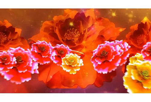 c171花开盛世歌曲舞蹈开场舞大气牡丹花LED大屏背景视频素材 包素材网