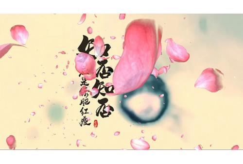 c439知否知否 歌曲舞蹈舞台LED大屏幕高清背景视频素材 包素材网