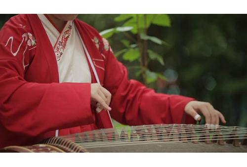 s224 古筝演奏高清实拍背景视频素材 包素材网