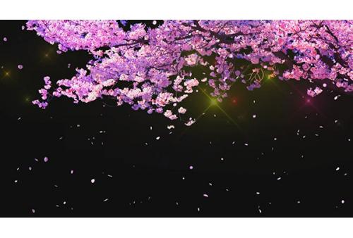 c1025浪漫樱花 动感舞蹈灯光秀LED大屏幕高清背景视频素材 包素材网