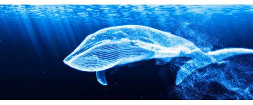 s209 8K沉浸式海底世界唯美粒子鲸鱼自然鱼群3D动画展厅LED视频素材