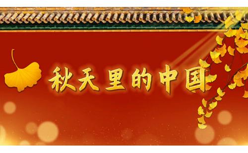 a213秋天里的中国朗诵LED大屏幕背景视频素材