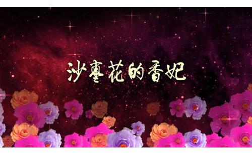 c1064 沙枣花的香妃 舞台LED大屏幕背景视频素材