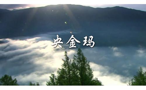 c1412央金玛藏族歌曲舞蹈LED大屏背景视频素材